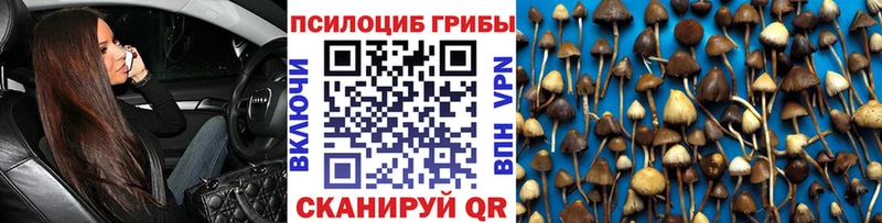 Купить где  Вельск  Псилоцибиновые грибы прущие грибы 