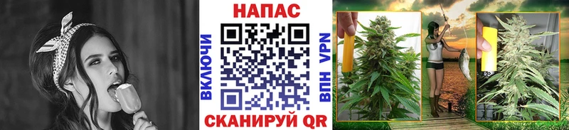 Бошки марихуана MAZAR  Купить где  Вельск 